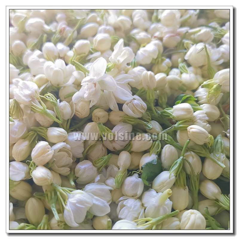茉莉花细胞液提取机